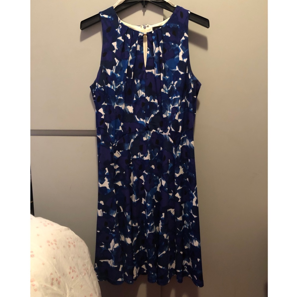 Blue & White A-Line Ivanka Trump Women's Dress